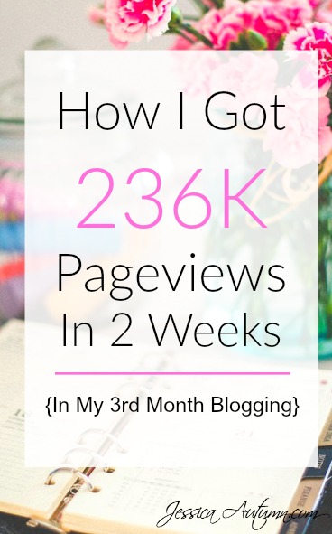 How I Got 236k Pageviews In 2 Weeks {In My 3rd Month Blogging} If you are interested in making money with your blog, this article is awesome! So many great tips and tricks to help increase your pageviews and take your blog to the next level. 